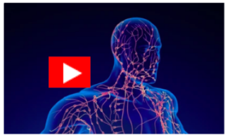 Le système lymphatique en vidéo